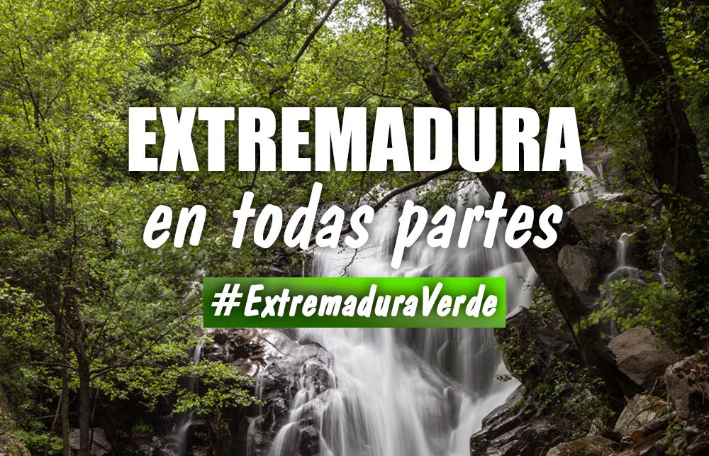 Charo Cordero: «La economía verde generará riqueza y, por tanto, empleo”