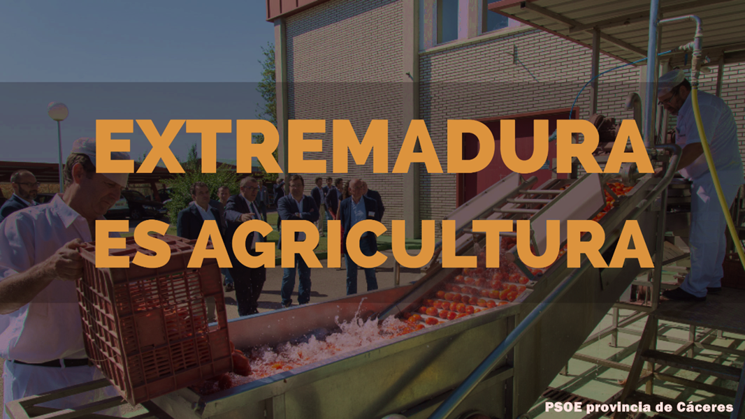 La Junta valora las políticas de igualdad que se potencian en las cooperativas extremeñas y las novedades de la normativa autonómica