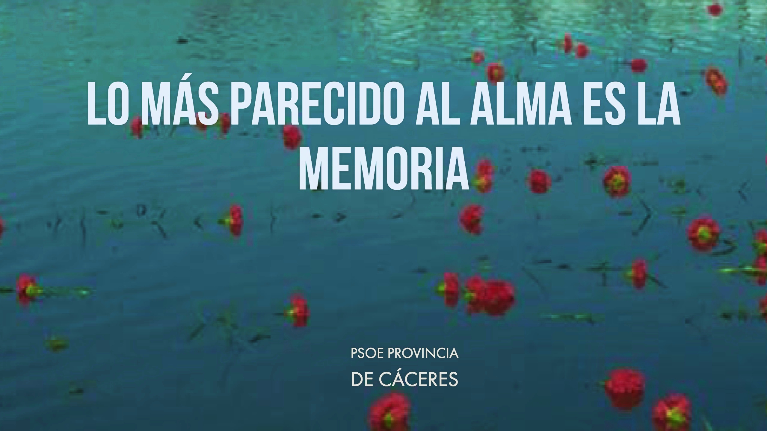 el alma y la memoria -cita de IBMM-