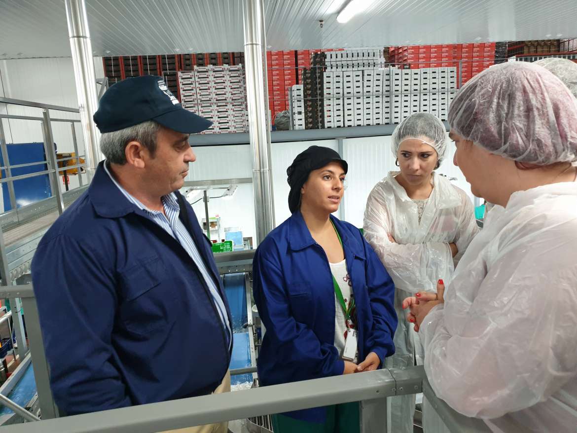 La Junta de Extremadura reitera su apuesta por reforzar la política de seguros en la cereza