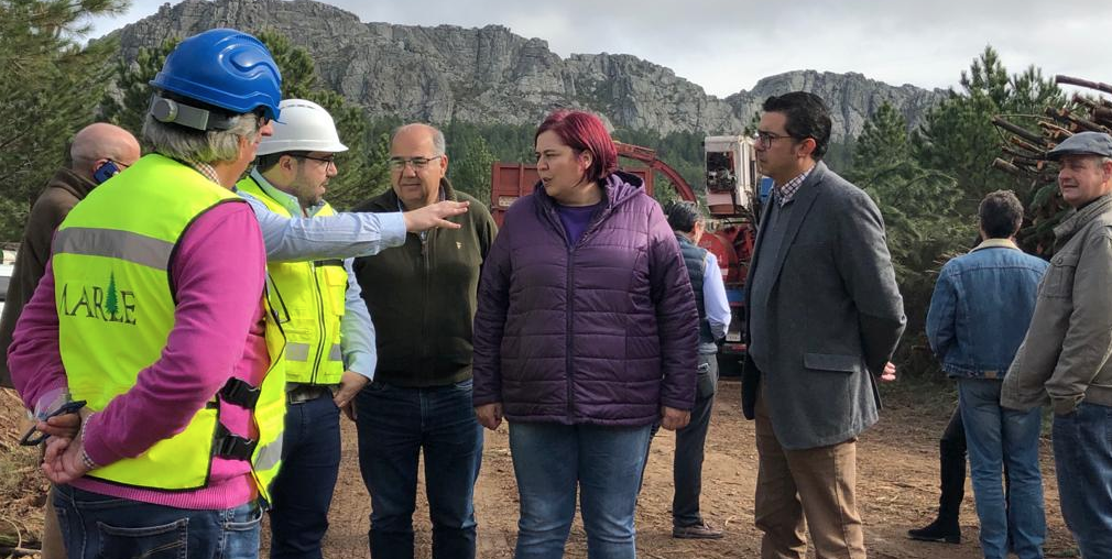 Begoña García acompaña a funcionarios de la India que visitan Extremadura para conocer la gestión de la dehesa