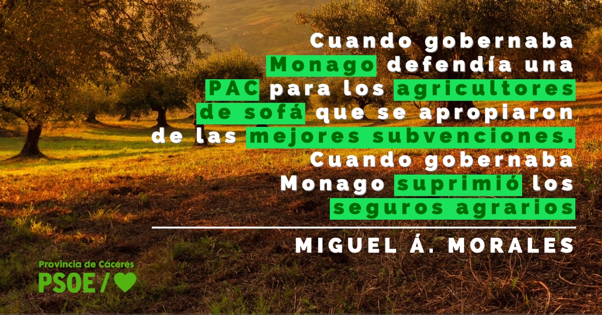 Miguel Á. Morales: «El maltrato en la doble moral del PP»
