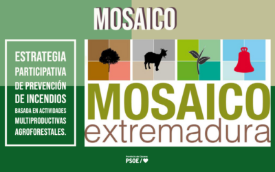 Santos Jorna: «Mosaico»