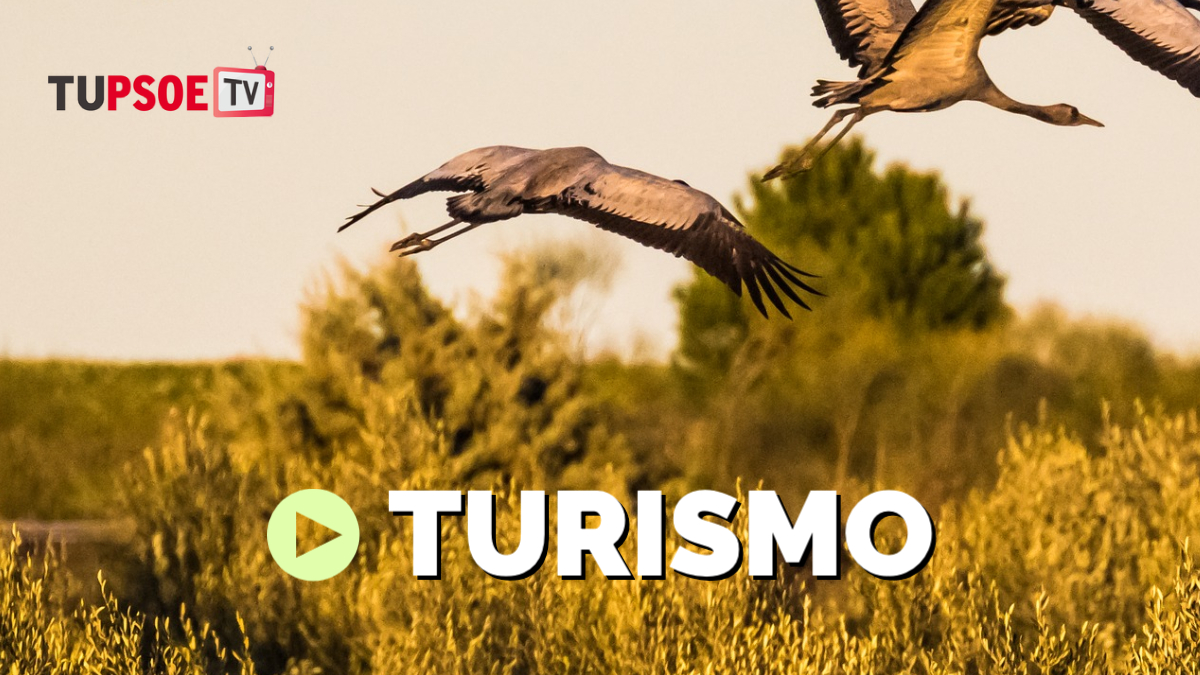 Turismo