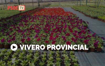 Elisabeth Martín: «Embellecer los pueblos de la provincia es el objetivo del vivero de la Diputación»