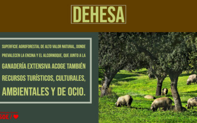 Santos Jorna: «Dehesa»
