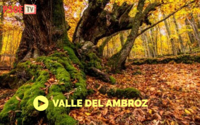 Hablamos con Vanesa Barbero sobre la Mancomunidad del Valle del Ambroz