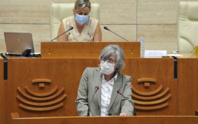 El nuevo decreto ley de transporte público de autobús sitúa a la ciudadanía en el centro de la movilidad