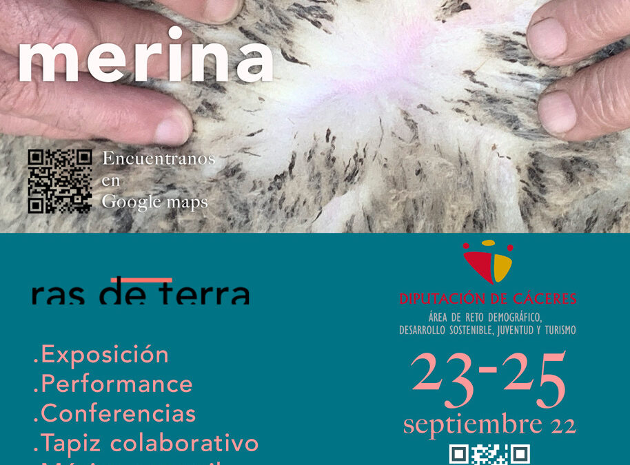 Desenredando la Merina, un proyecto multidisciplinar, liderado por mujeres, busca rentabilizar y visibilizar las oportunidades en torno a la explotación de la lana de oveja merina