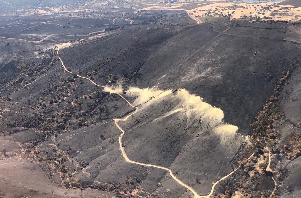 Publicadas las Zonas de Actuación Urgente de las superficies forestales afectadas por los incendios de Las Hurdes y Sierra de Miravete donde ya se trabaja