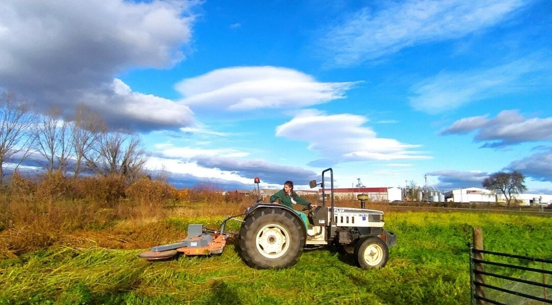 La renta agraria alcanza los 37.759 millones de euros en 2024, el 14,2 % más que el año anterior
