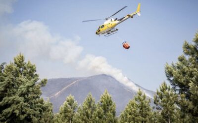 Publicada la declaración de zona de actuación urgente para recuperar la superficie afectada por el incendio de Pinofranqueado y Sierra de Gata