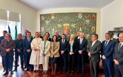 El puente del río Sever y el IC 31 Castelo Branco-Monfortinho, dos de los proyectos abordados en la Sesión de Conexiones Transfronterizas con la ministra portuguesa de Cohesión Territorial