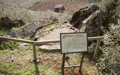 Diputación de Cáceres busca impulsar el conocimiento y visita al conjunto de petroglifos hurdanos