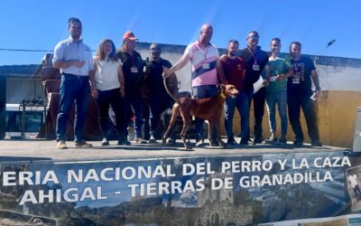Una vez más, la Feria Nacional del Perro y la Caza de Ahigal demuestra la capacidad de nuestros pueblos para defender el modelo rural extremeño
