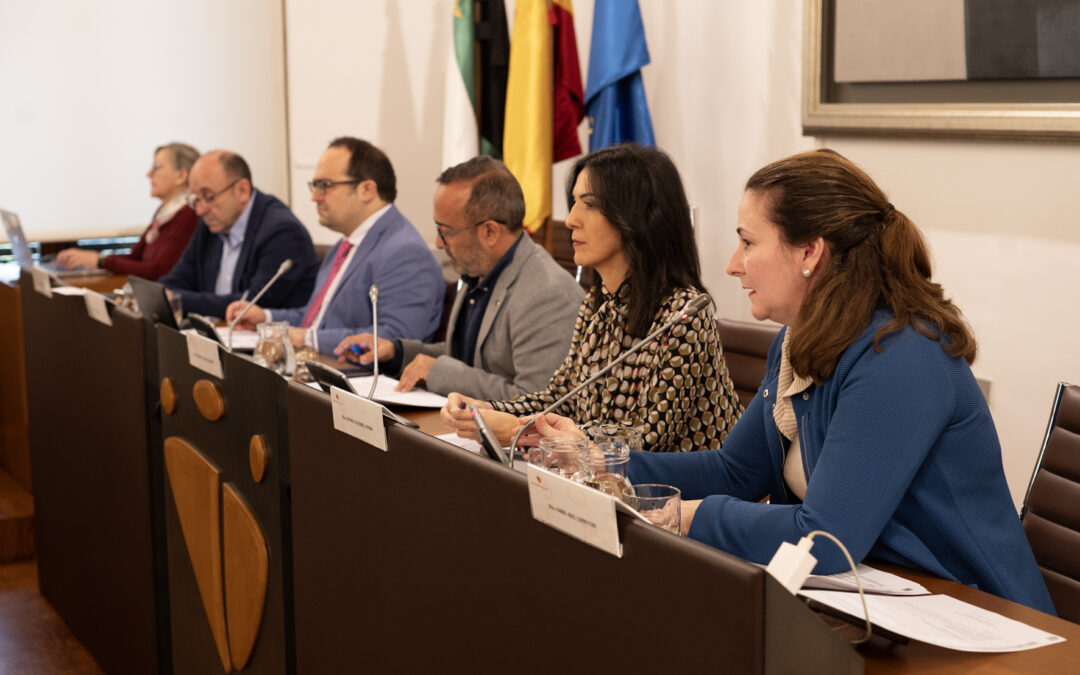 Diputación de Cáceres aprueba el II Plan Director Provincia Digital y la encomienda para acercar a la ciudadanía programas de ayuda a vivienda