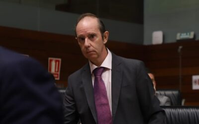 Fernando Ayala: «Trasunto»