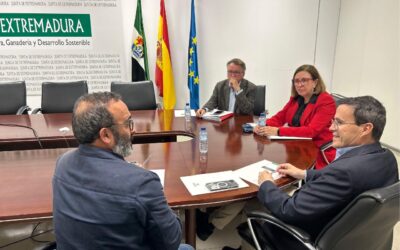 Las Diputaciones Provinciales solicitan a la Junta nuevas vías de financiación externa para ejecutar la segunda fase del Plan Depura