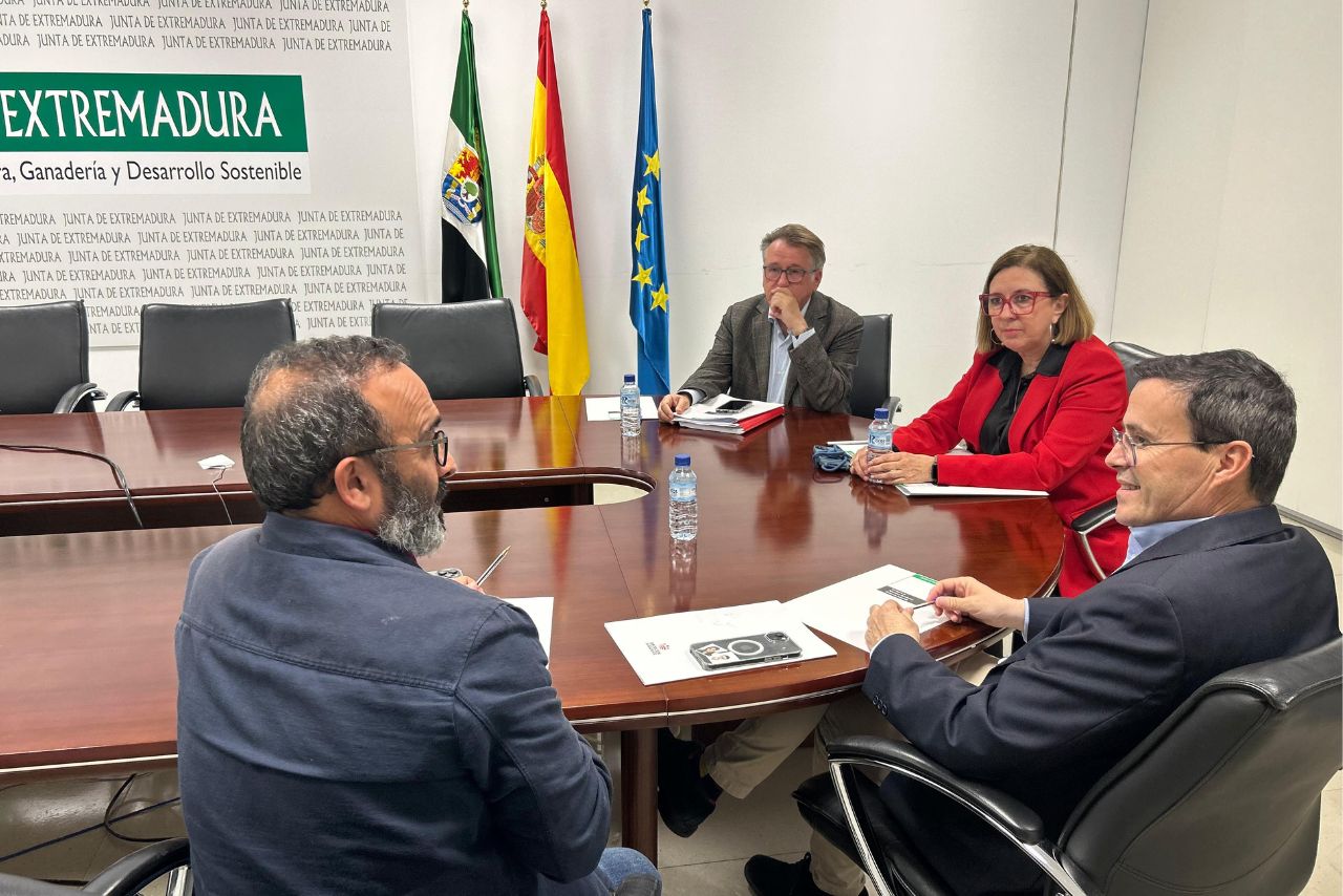 diputaciones presidentes