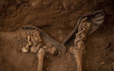 Fernando Ayala: «Concordia»