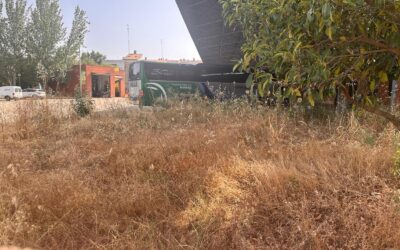 El PSOE denuncia el abandono de la Estación de Autobuses de Coria y exige su limpieza por riesgo de incendios