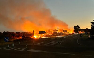 Los incendios forestales: Una tragedia que exige responsabilidad política