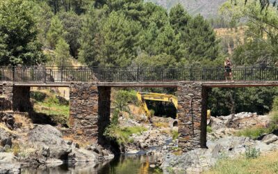 Diputación de Cáceres y CHT estudian un convenio para mejorar y limpiar cauces que pasen por tramos urbanos