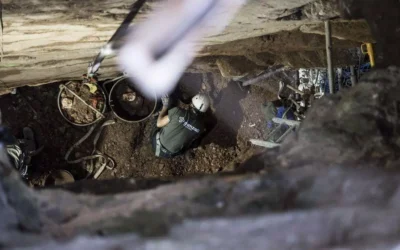 Fernando Ayala: «¿Nada es lo que parece?»