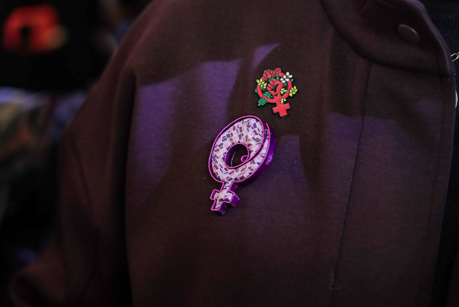 Feminismo es Socialismo