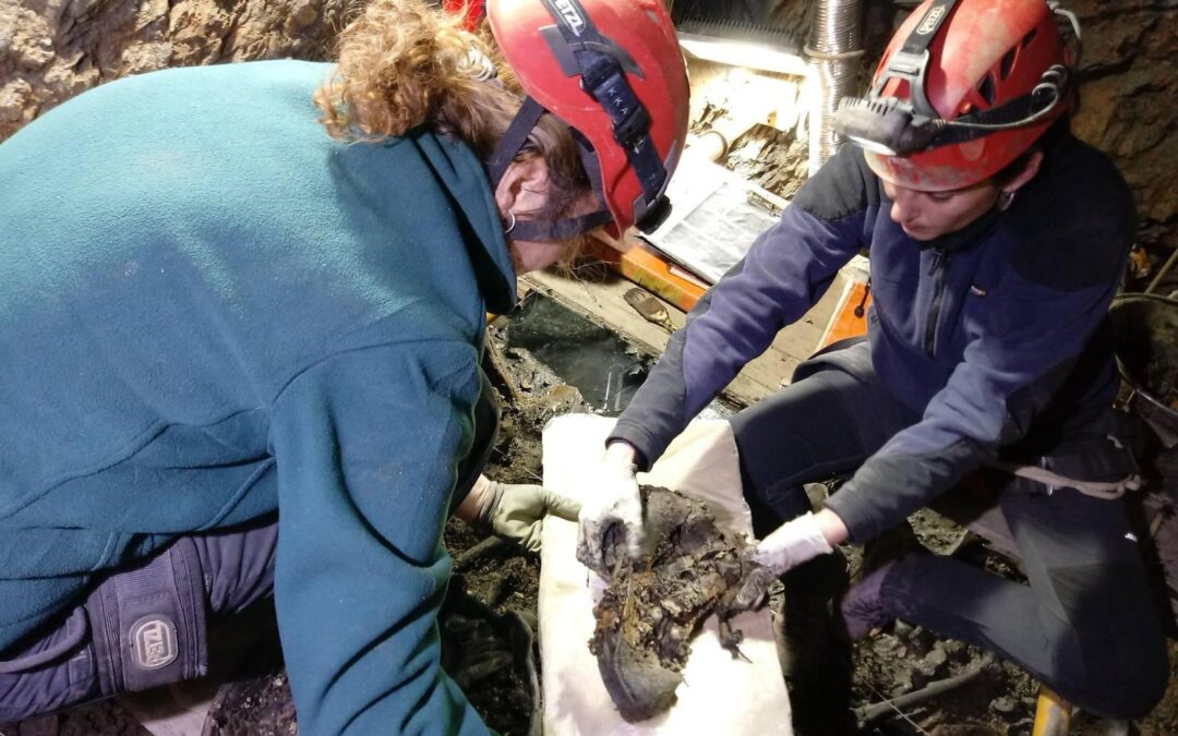 Diputación de Cáceres saca a licitación los trabajos de exhumación en fosas de Almoharín y Villamesías