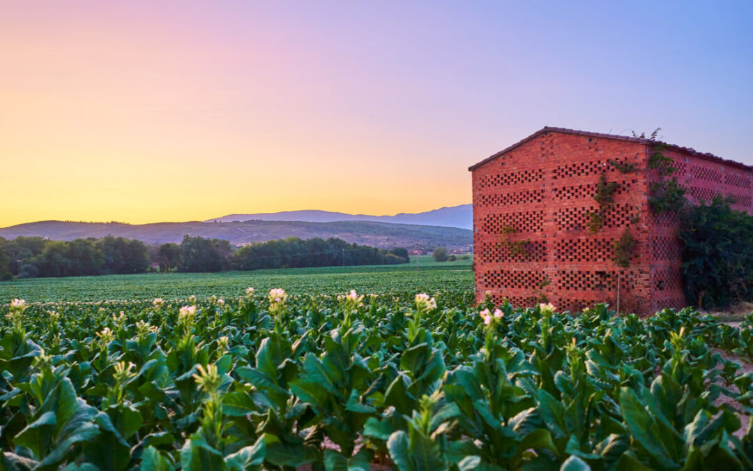 Raúl Vázquez: «La PAC depende de ti»