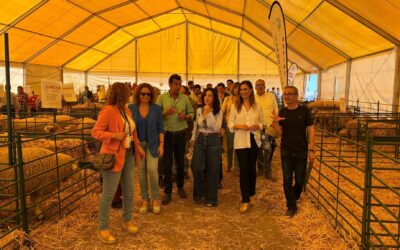 Eduardo Béjar: “La Feria Agroganadera de Brozas demuestra que, con apoyo y visión política, nuestros pueblos son espacios de oportunidad y no de resignación”