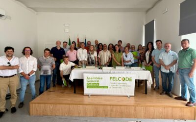 El presidente de FELCODE reivindica el papel de la cooperación municipalista y aprueba una hoja de ruta marcada por los 20 años de Voluntarios Expertos