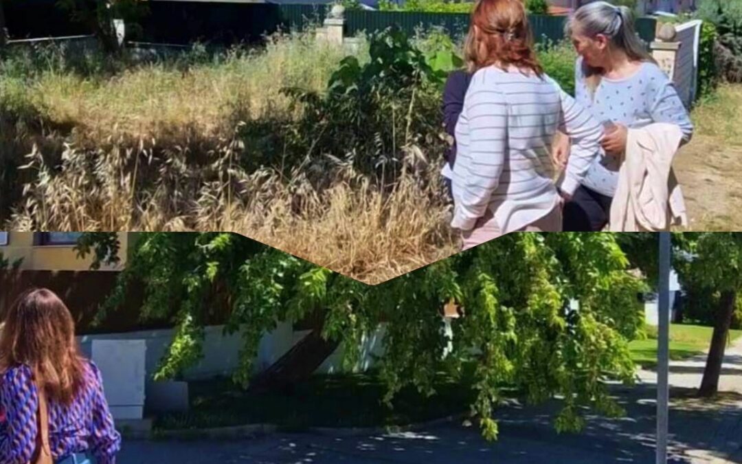 El PSOE exige un Plan Integral urgente para La Mejostilla ante el “abandono” y el riesgo para la salud pública