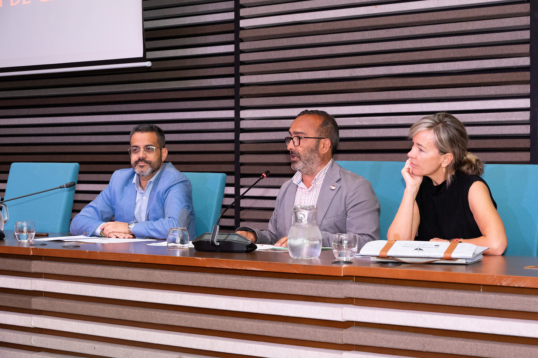 Autonomía Local (6)