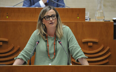 El PSOE exige a la Junta una respuesta inmediata para salvar al sector cerecero tras los daños provocados por las tormentas