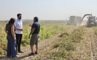 Álvaro S. Cotrina propone actualizar los seguros agrarios para adaptarlos a los efectos del cambio climático en el cultivo del tomate