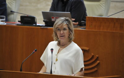 El PSOE de Extremadura propone un plan integral para prevenir la peste porcina africana y proteger al principal sector ganadero de la región