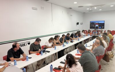 Fernando García Nicolás lidera su primera Ejecutiva y promete «dejarse la piel» para recuperar la confianza del electorado abstencionista y de las ciudades y pueblos intermedios