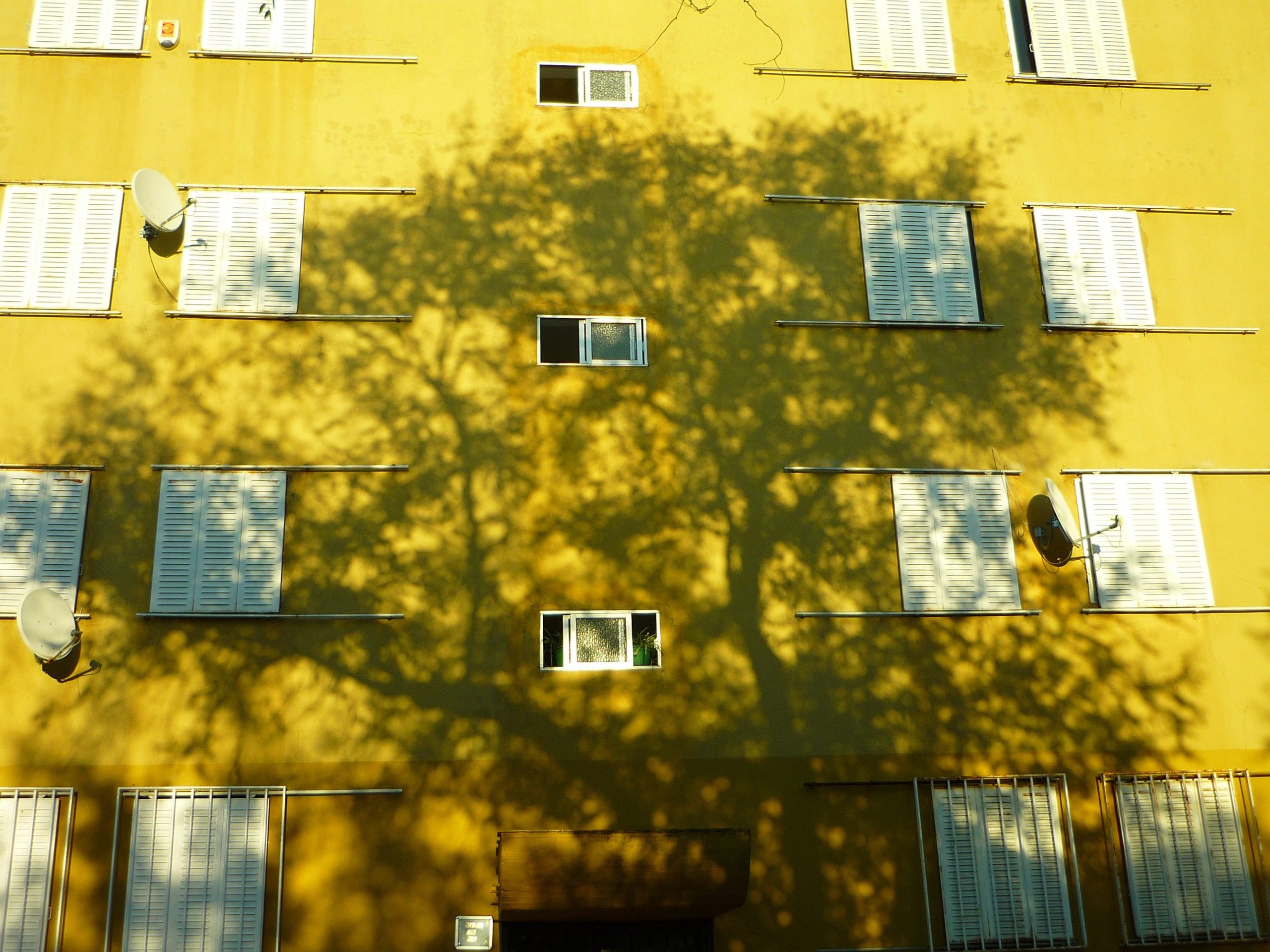 vivienda