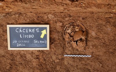 Primeros hallazgos de víctimas de la represión franquista en fosas en el Cementerio de Cáceres