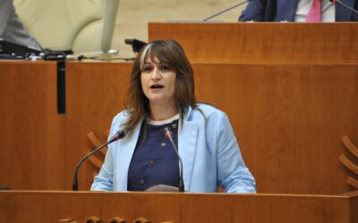 El PSOE denuncia que la Junta de Extremadura ha paralizado el acompañamiento necesario al proyecto de la gigafactoría de Navalmoral de la Mata
